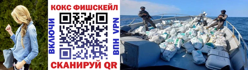 Кокаин Fish Scale ОМГ ОМГ Каргополь цены наркотик