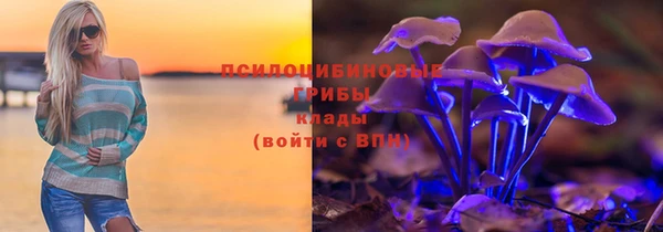 apvp Ельня
