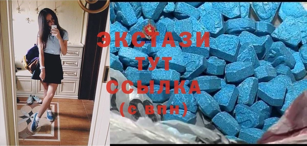 apvp Ельня