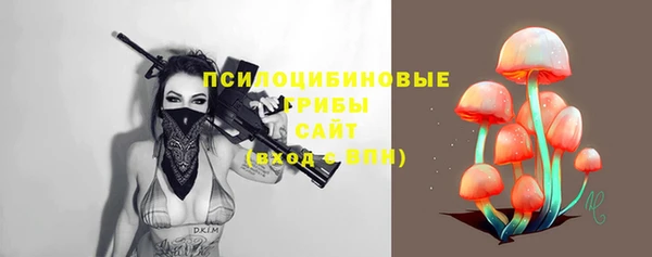 герыч Дмитровск
