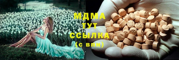 apvp Ельня