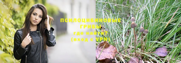 apvp Ельня