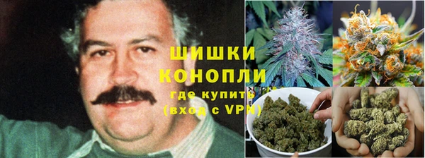 apvp Ельня