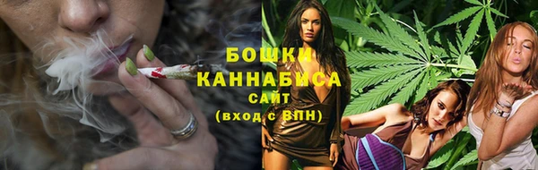 apvp Ельня