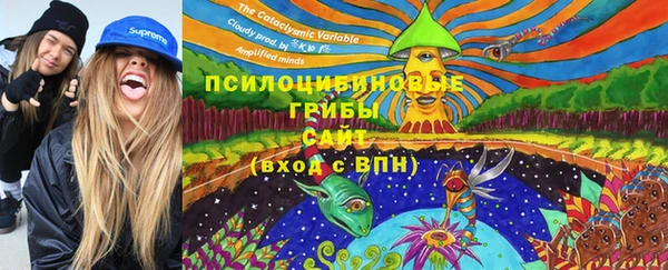 мдма Елизово