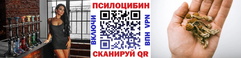 где можно купить   Каргополь  Галлюциногенные грибы мицелий 